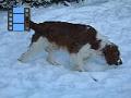 2009-12-19 14 M